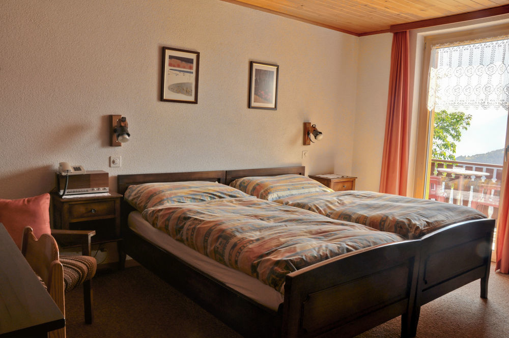 Hotel Alpenblick Zeneggen Exterior photo